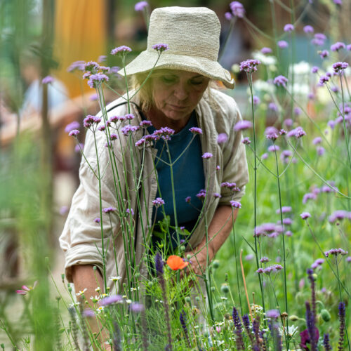 Foto: Mathijs van der Lee