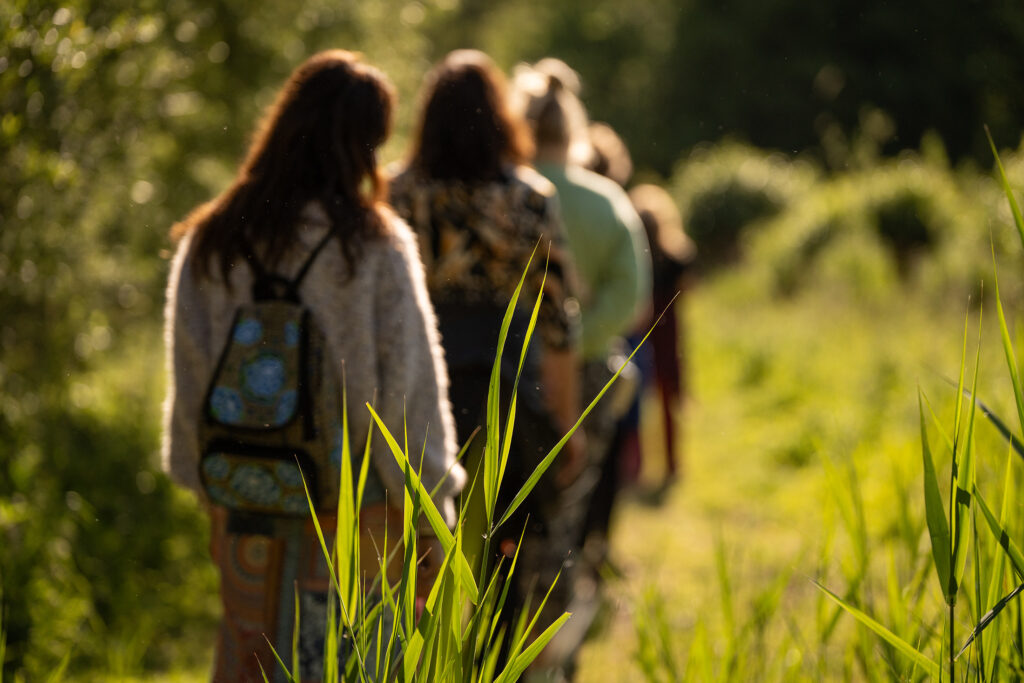 ZIN festival op De Lievelinge